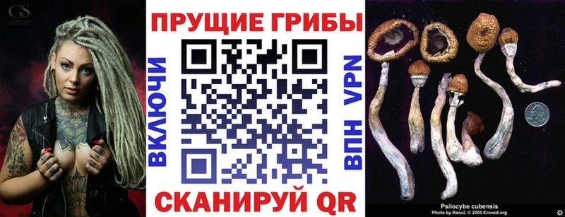 Галлюциногенные грибы GOLDEN TEACHER  закладка  Красногорск 